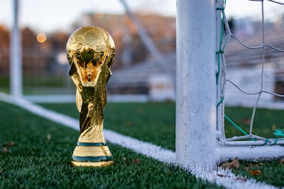 بيتزاهتفيمنطقةنيهوتجربةفريدةمنالنكهاتوالجودة