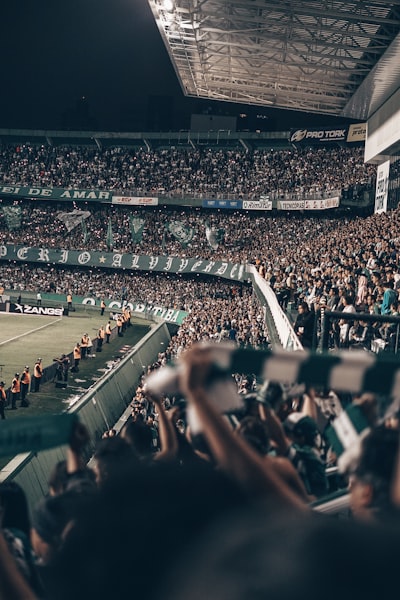 جدول ترتيب الدوري السعودي عام 2025توقعات وتحليل شامل